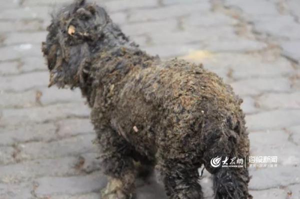 突發(fā)！青島一居民樓發(fā)生爆燃！已造1人死亡，7人受傷！3公里外有震感…