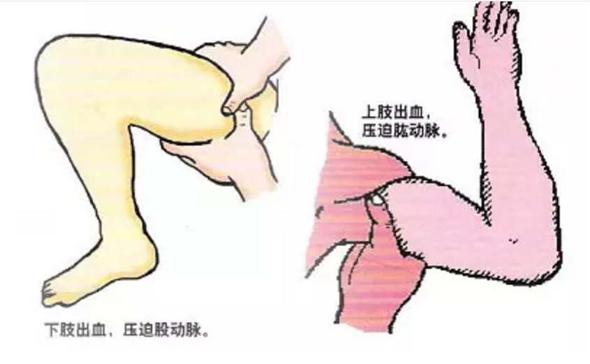 1607583658171155.png 圖片.png