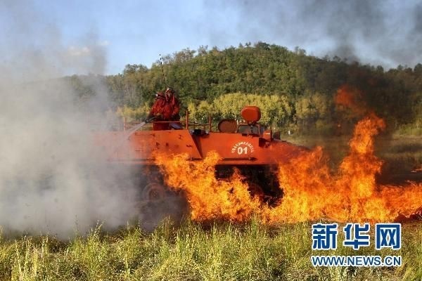 【動(dòng)畫(huà)】森林草原防火“十不準(zhǔn)”“五不燒”！這些安全知識(shí)要牢記